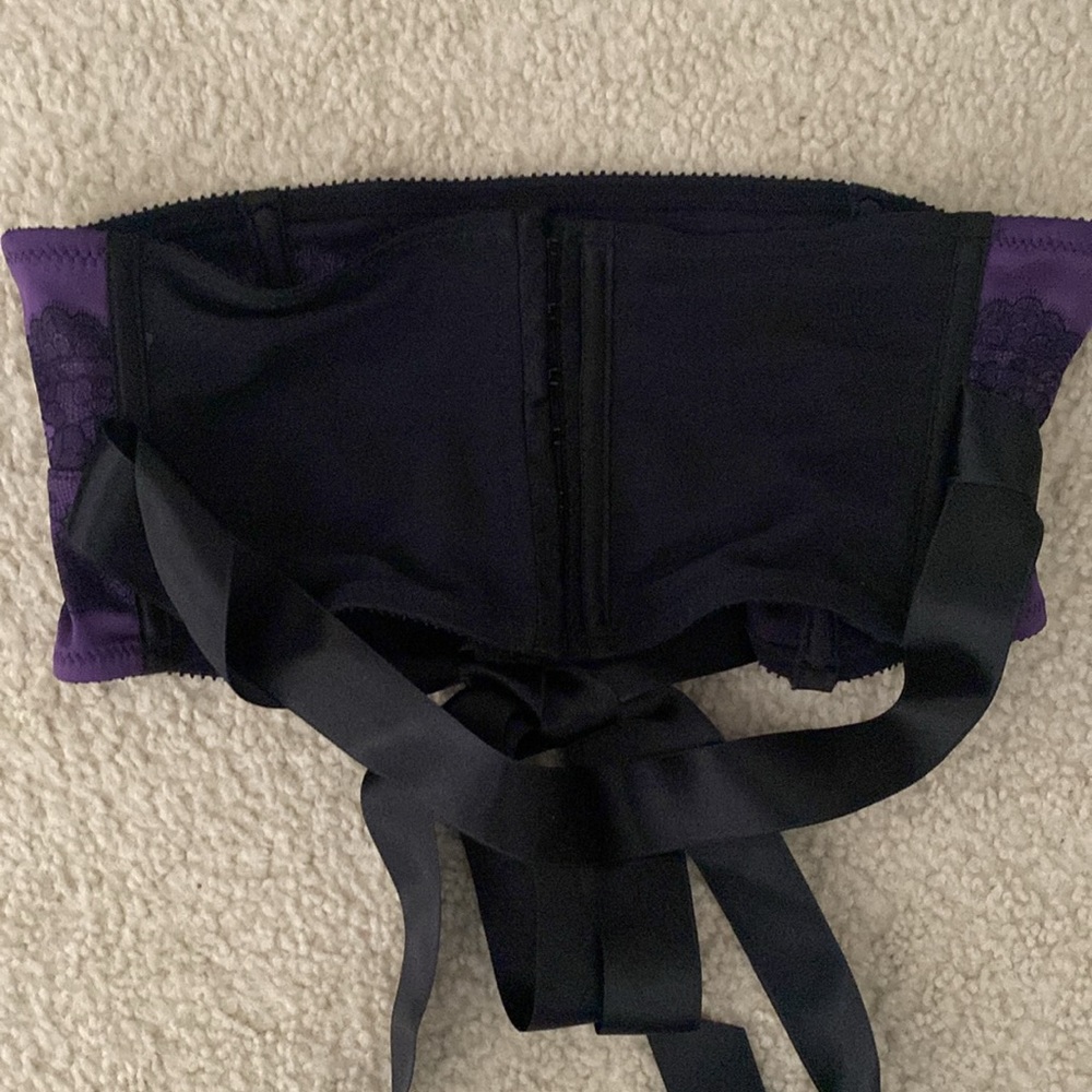 Chantelle Paris Waist Cincher/Garter Belt - Picture 5 of 12